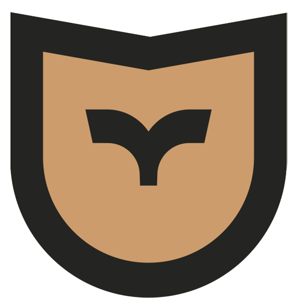 استودیو بوم